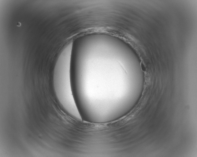 X0000069361161200605120909