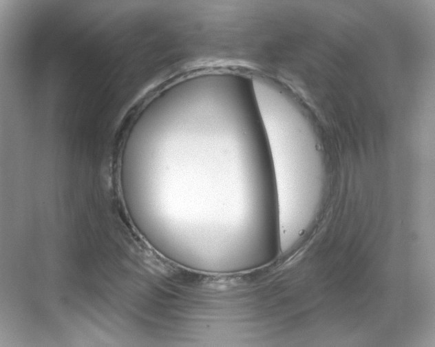 X0000069361165200605120909