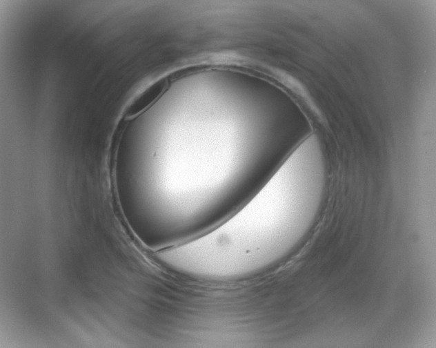 X0000069361176200605120909
