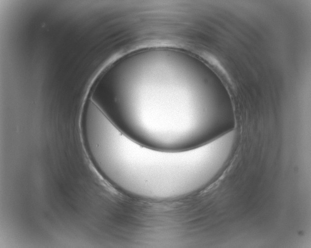 X0000069361181200605120908