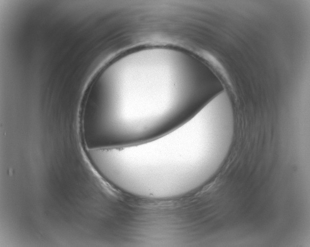 X0000069361183200605120908