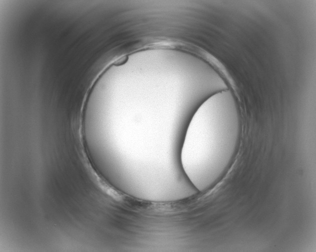 X0000069361194200605120908