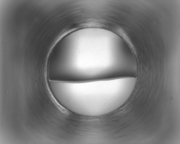 X0000069361195200605120908
