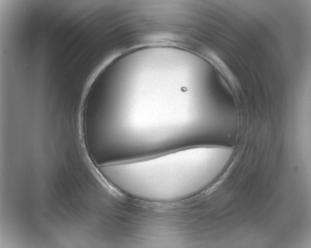 X0000069361196200605120908