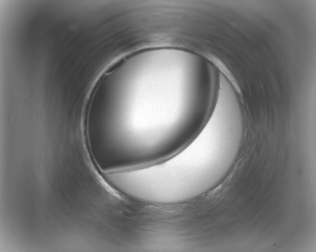 X0000069361197200605120908