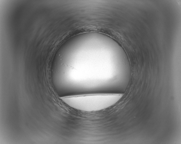X0000069361201200605120907
