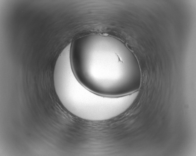X0000069361202200605120907