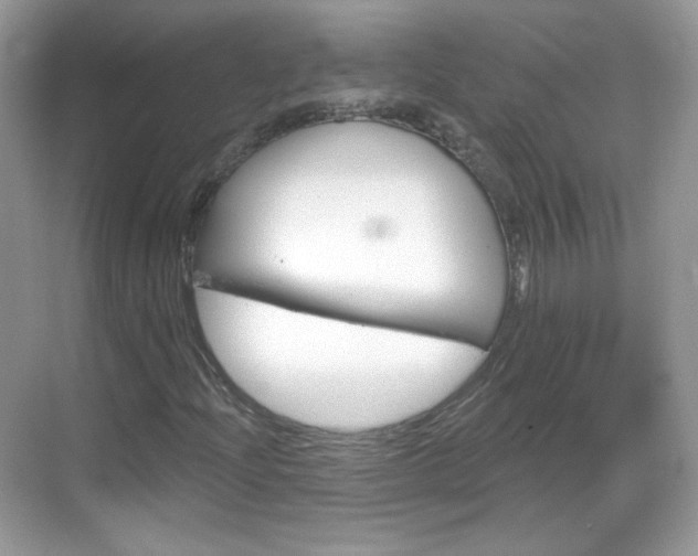 X0000069361204200605120907