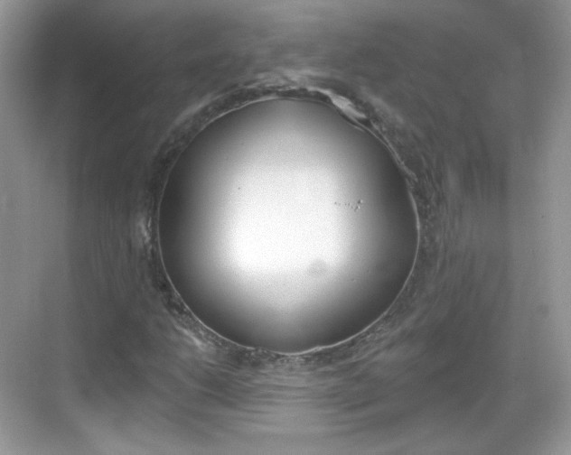 X0000069361206200605120907