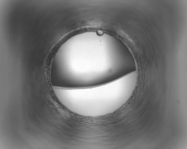 X0000069361208200605120907