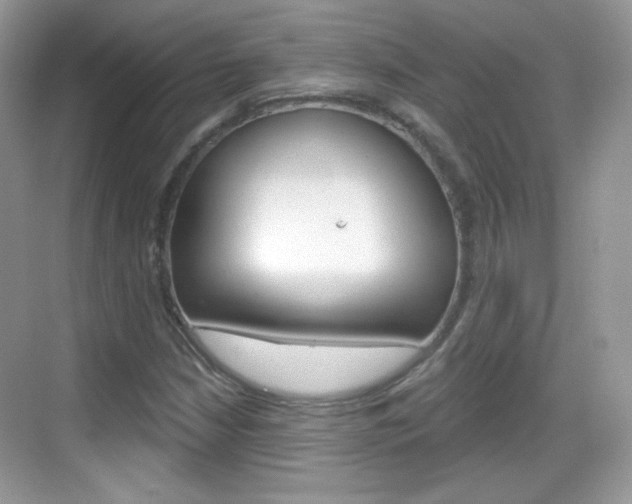 X0000069361210200605120907