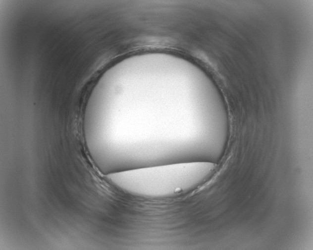 X0000069361211200605120907