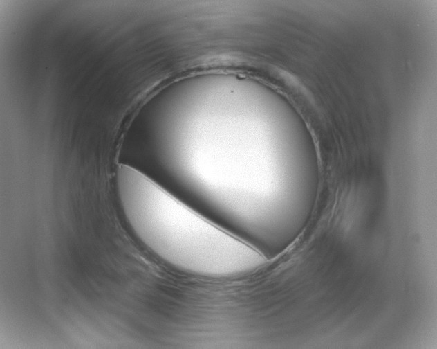 X0000069361217200605120908