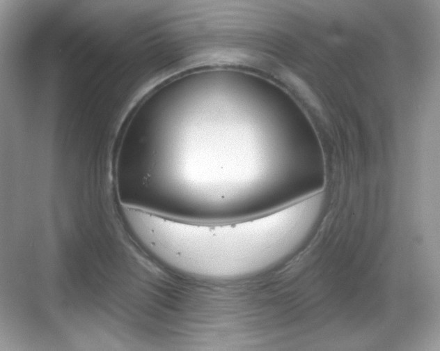 X0000069361226200605120908