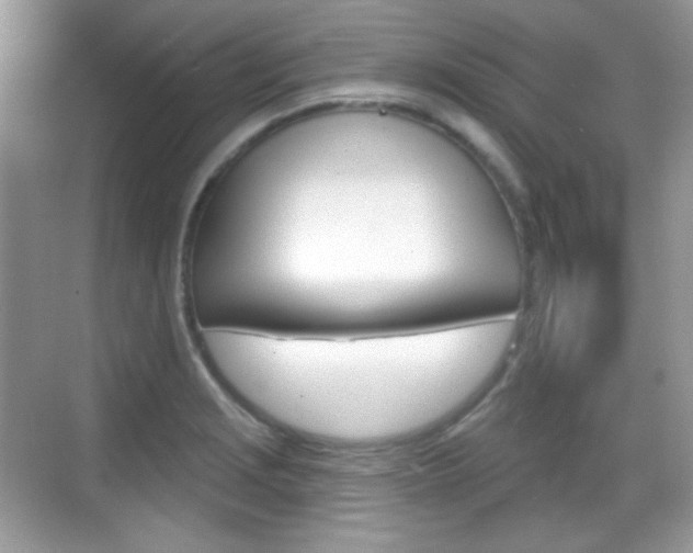 X0000069361229200605120908
