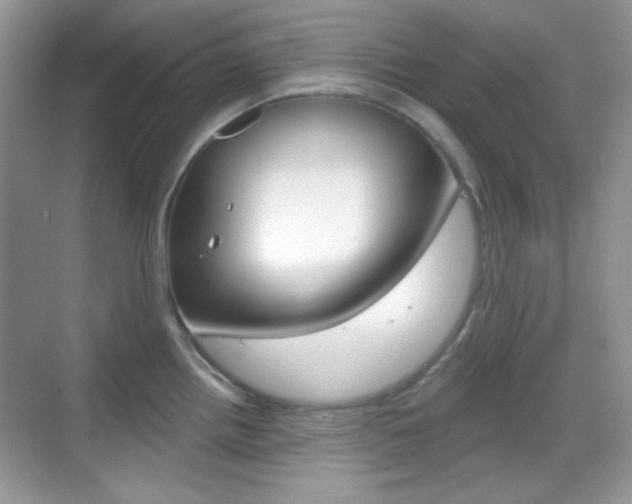 X0000069361242200605120908