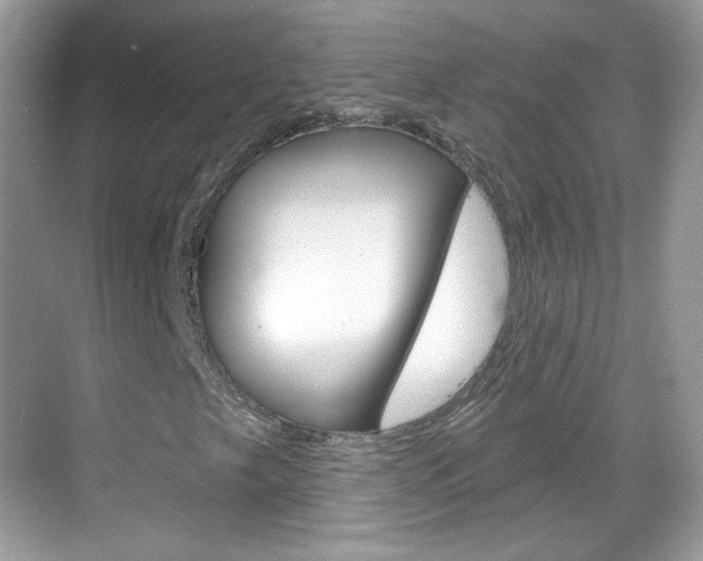X0000069361249200605120907
