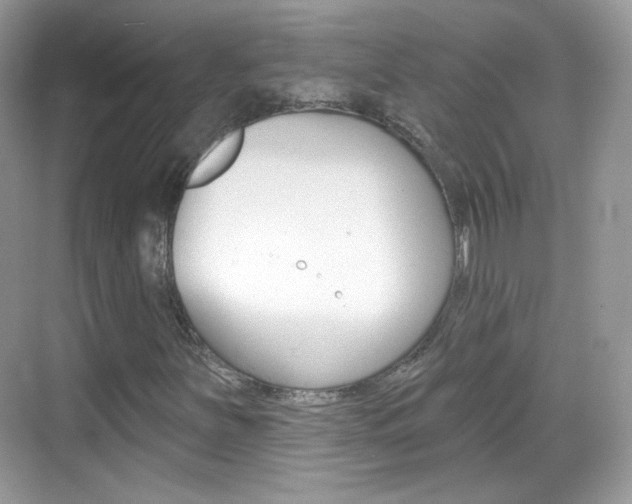 X0000069361251200605120907