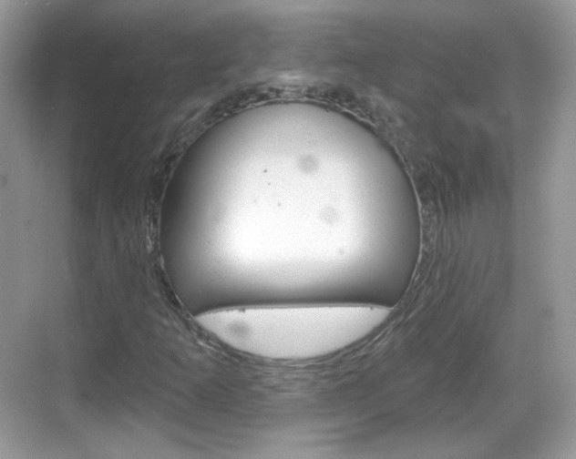 X0000069361253200605120907