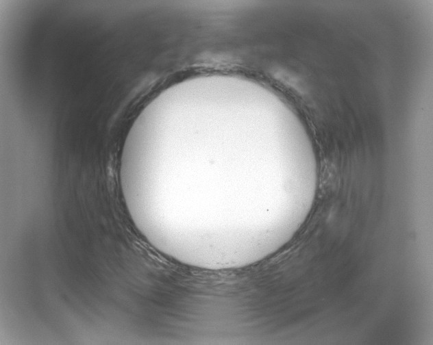 X0000069361254200605120907