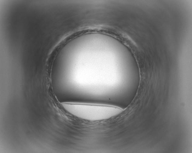 X0000069361256200605120907