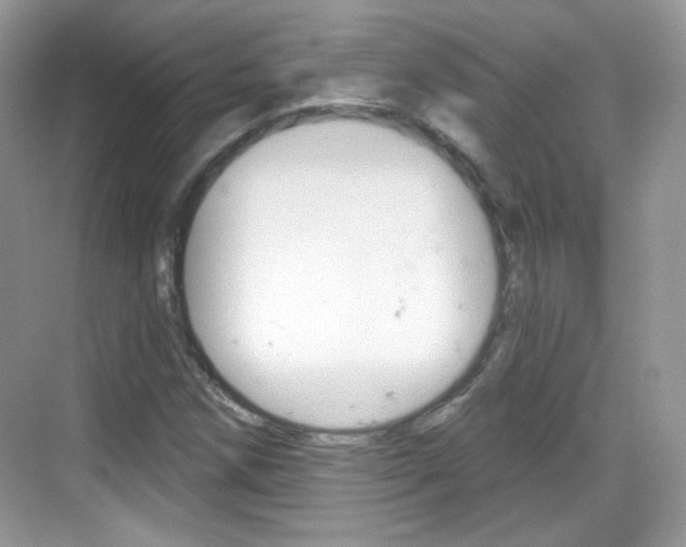 X0000069361258200605120907