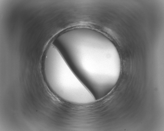 X0000069361260200605120907