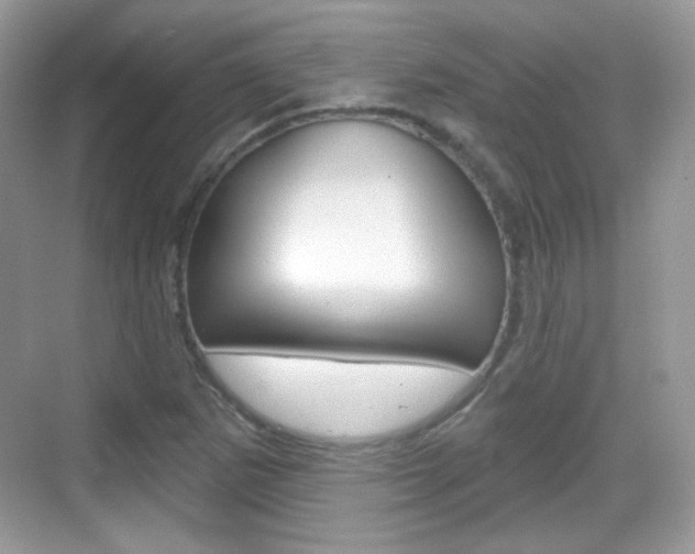 X0000069361265200605120907