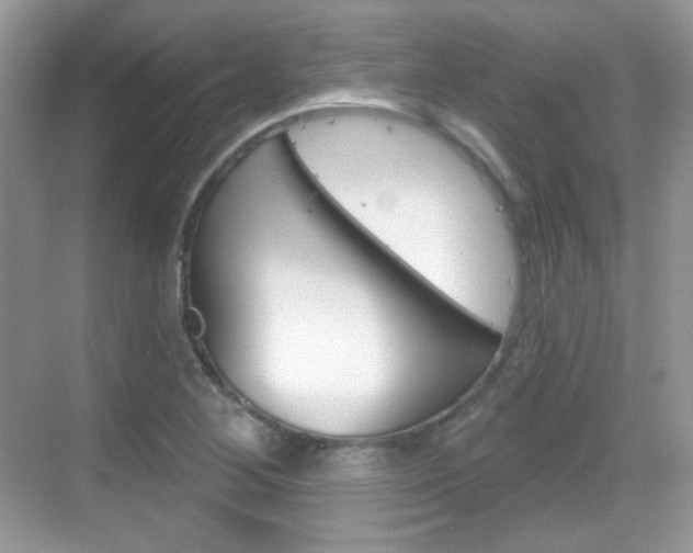 X0000069361268200605120907