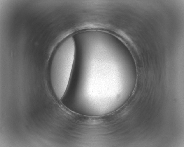 X0000069361269200605120907