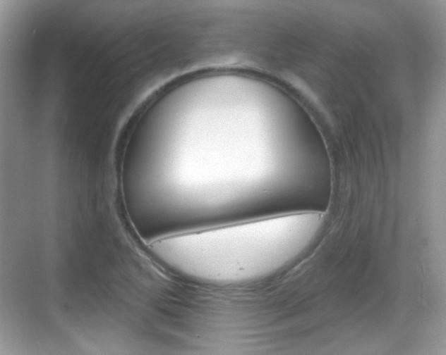 X0000069361270200605120907