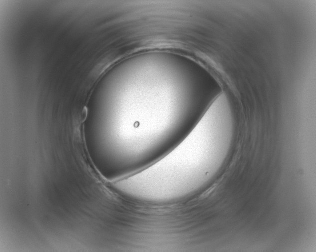 X0000069361273200605120907