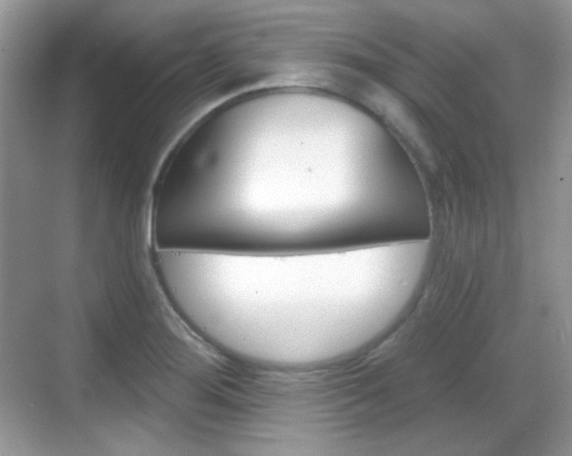 X0000069361276200605120907