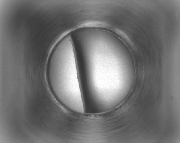 X0000069361277200605120907