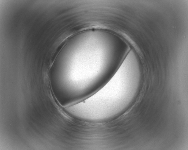 X0000069361281200605120907