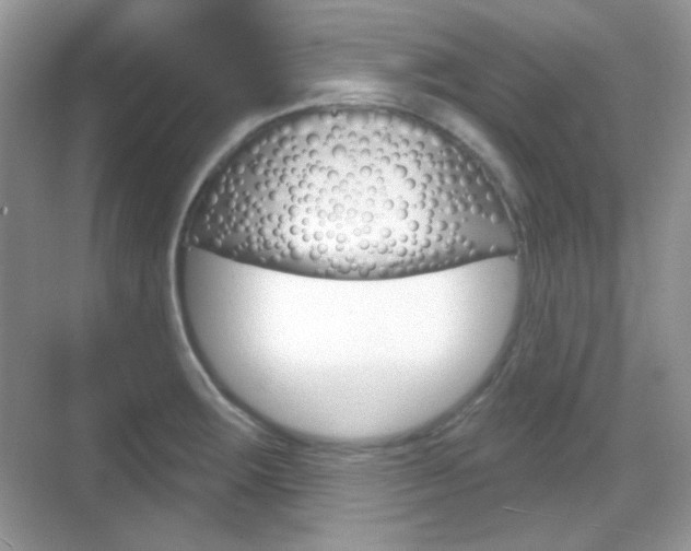 X0000069361283200605120907