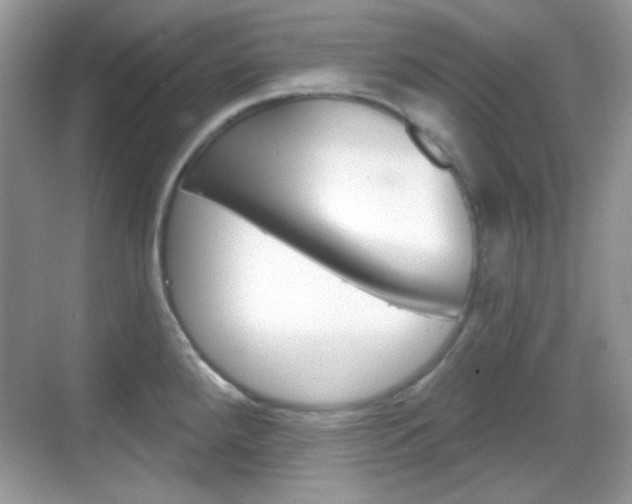X0000069361288200605120907