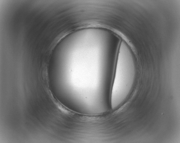 X0000069361289200605120907