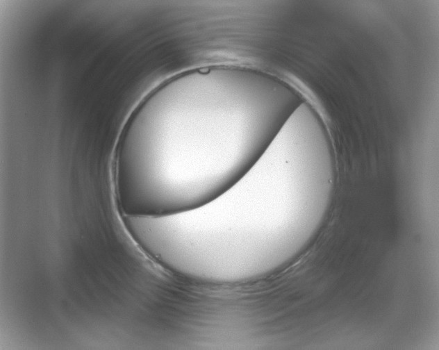 X0000069361291200605120907
