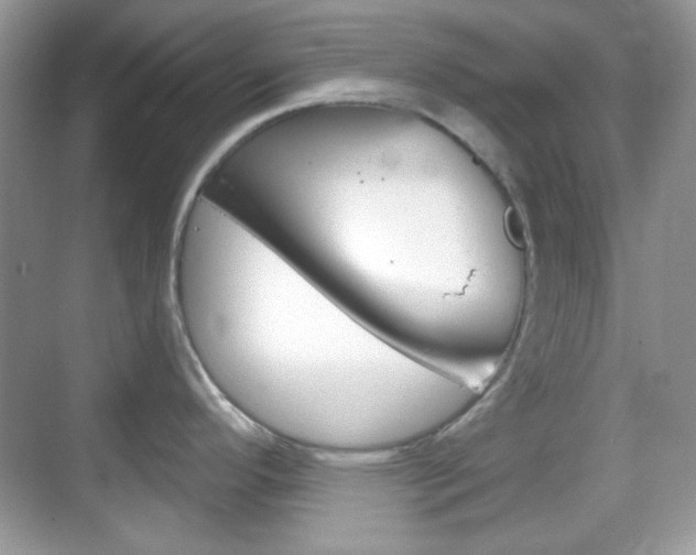 X0000069361296200605120907