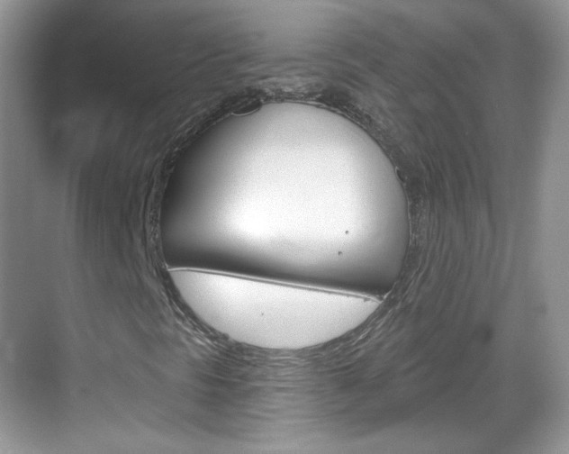 X0000069361297200605120906