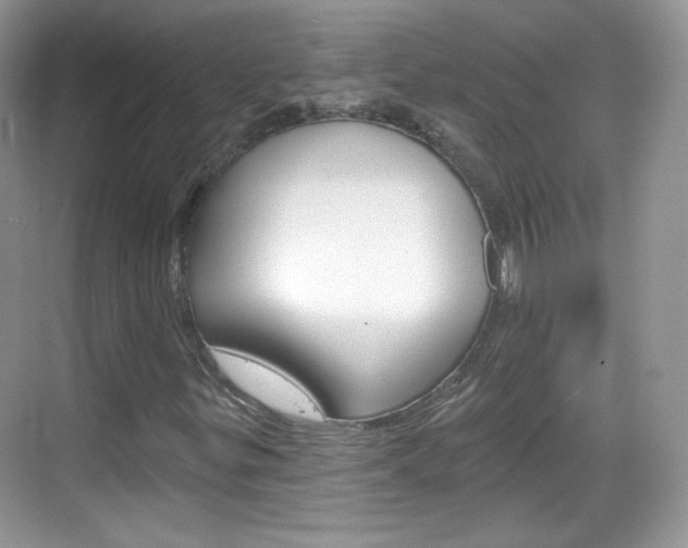 X0000069361299200605120906