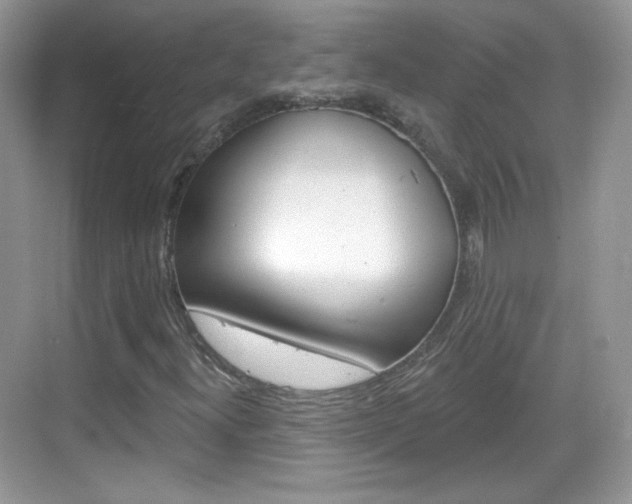 X0000069361300200605120906
