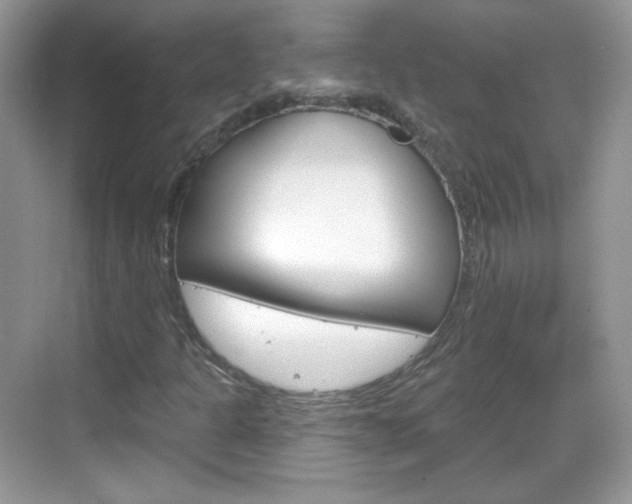 X0000069361301200605120906