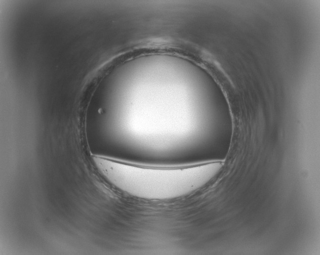 X0000069361304200605120906