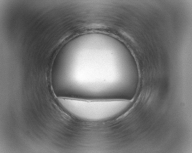 X0000069361305200605120906