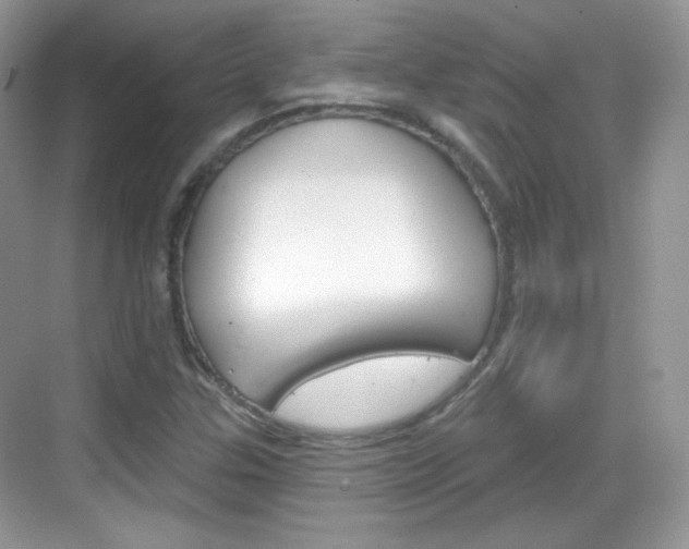 X0000069361307200605120906