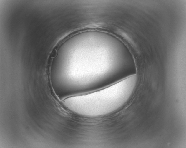X0000069361308200605120906