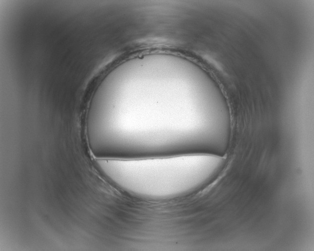 X0000069361309200605120906