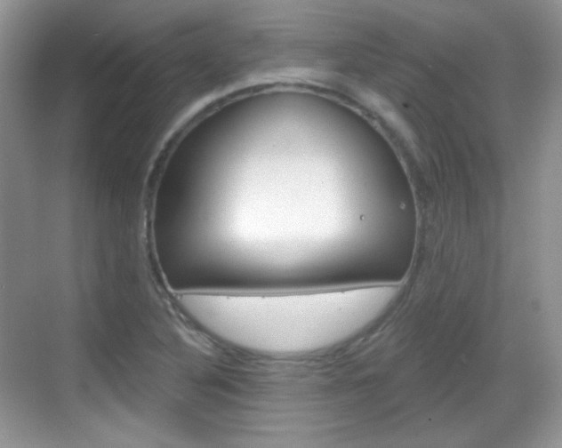 X0000069361316200605120906